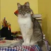 Отзыв от Дарья Грибова